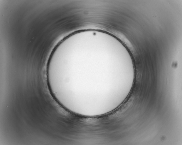 X0000103301380200809191844