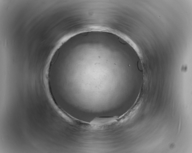 X0000103301381200809191844