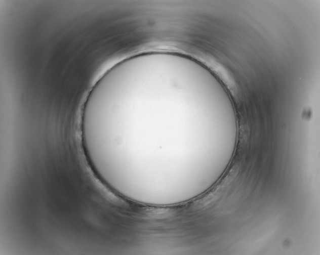 X0000103301382200809191844