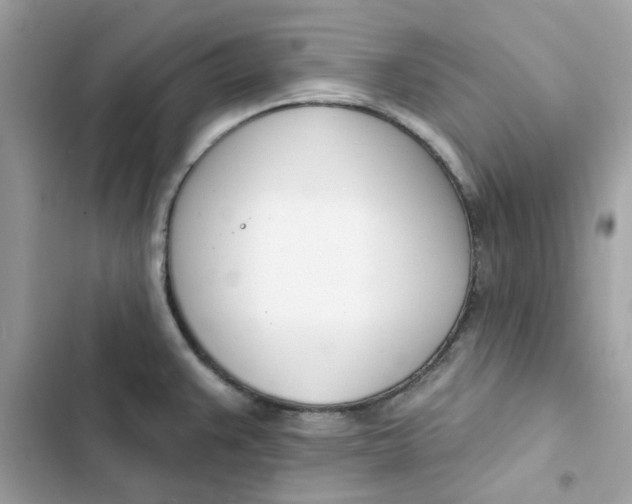 X0000103301383200809191844