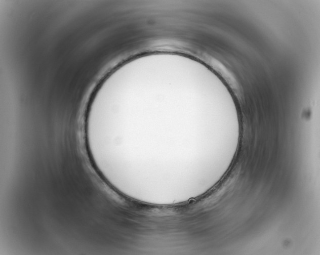 X0000103301384200809191844