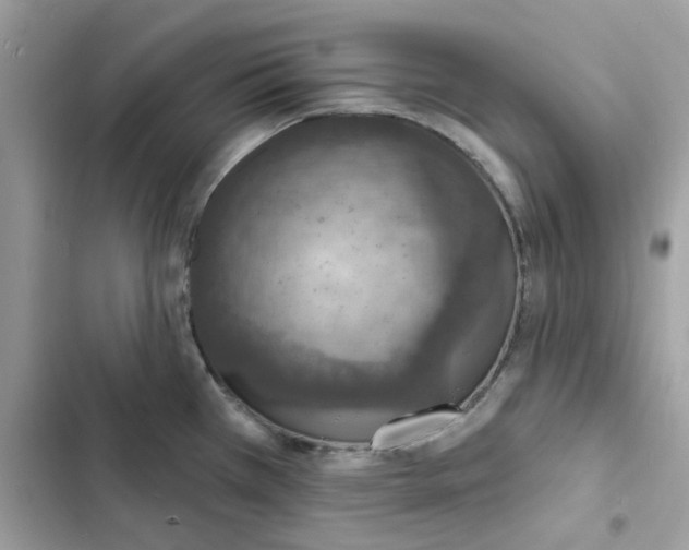 X0000103301385200809191844