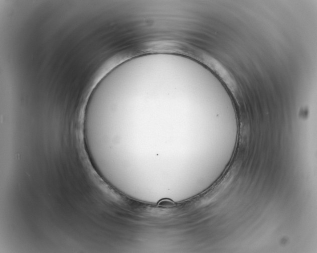 X0000103301386200809191844