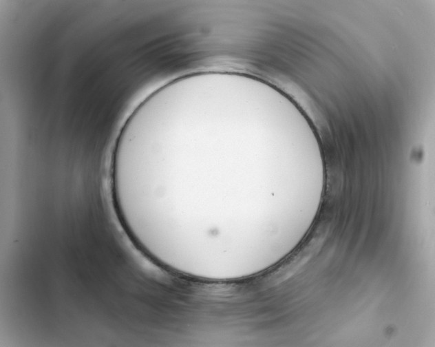 X0000103301387200809191844