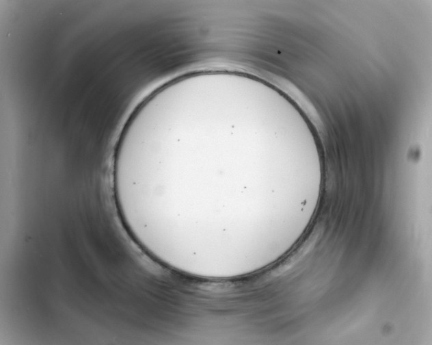 X0000103301388200809191844