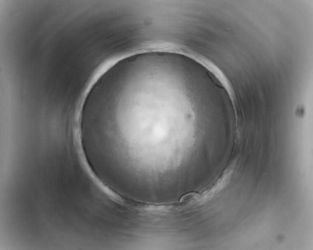 X0000103301389200809191844