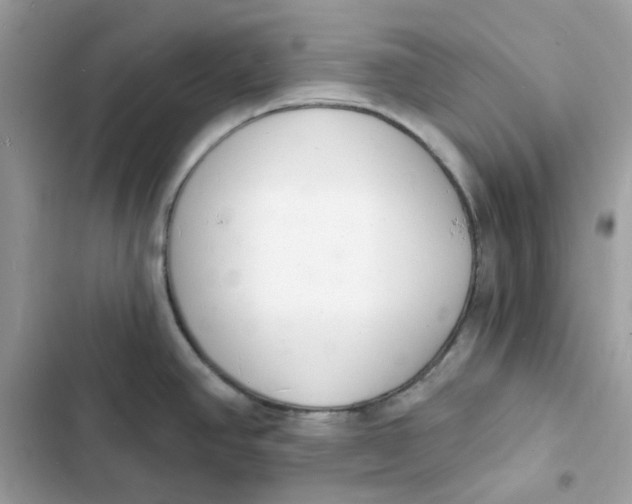 X0000103301390200809191844