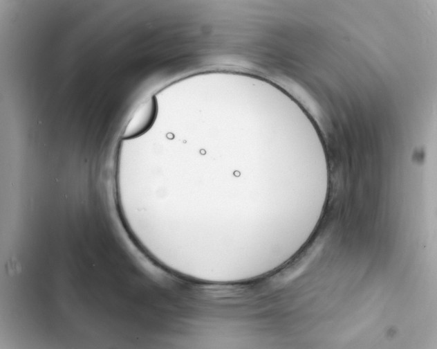 X0000103301391200809191844