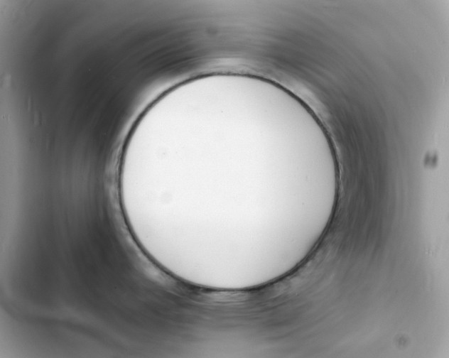 X0000103301392200809191844