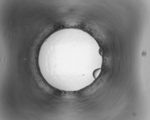 X0000103301393200809191843