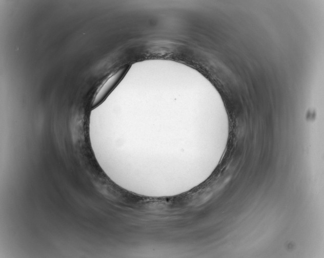 X0000103301394200809191843