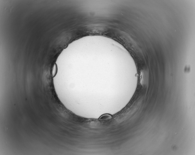 X0000103301395200809191843