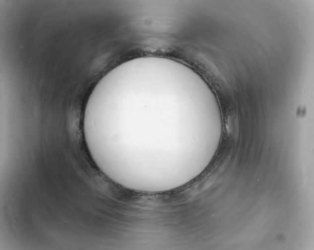 X0000103301396200809191843