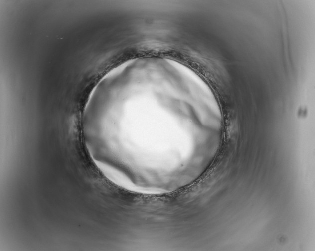 X0000103301397200809191843