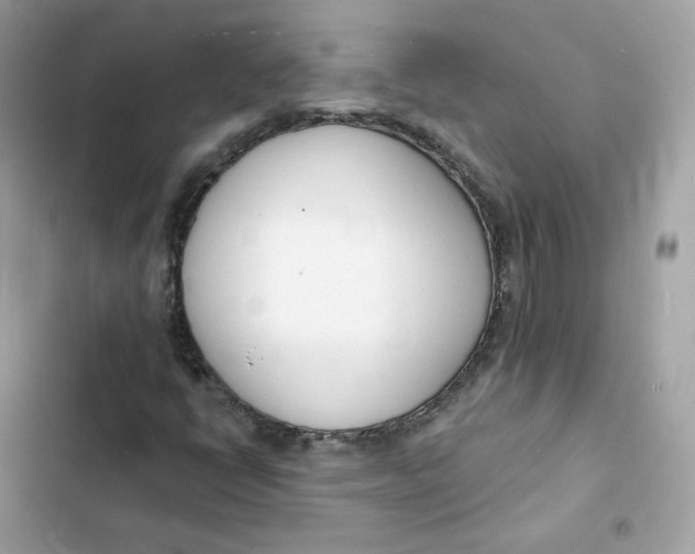 X0000103301398200809191843