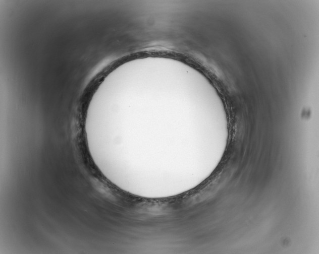 X0000103301400200809191843