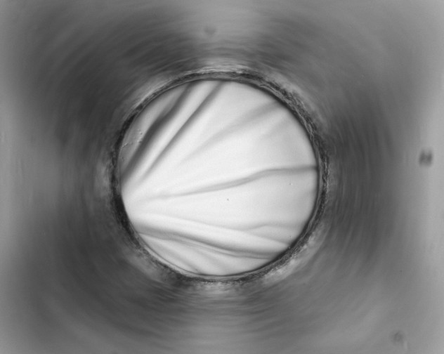 X0000103301401200809191843