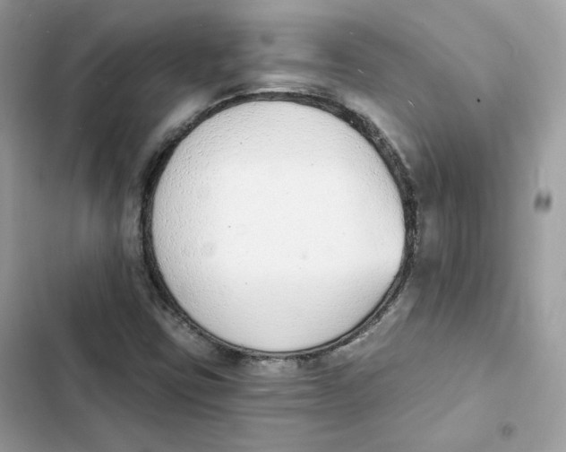 X0000103301403200809191843