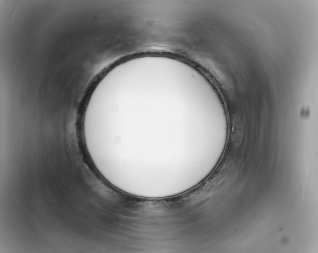 X0000103301404200809191843