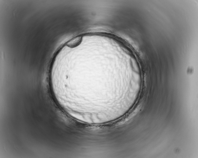 X0000103301405200809191843