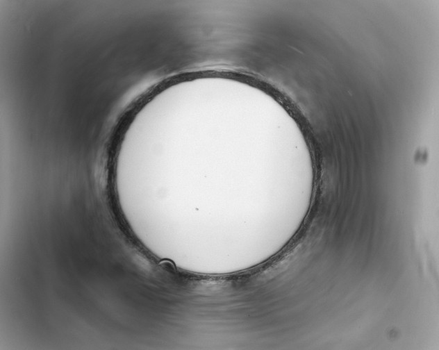 X0000103301406200809191843