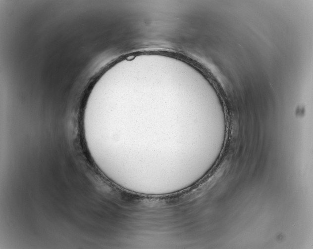 X0000103301407200809191843