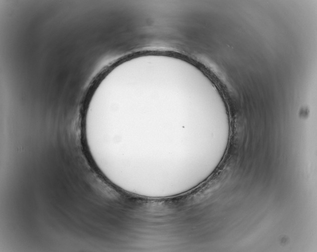 X0000103301408200809191843