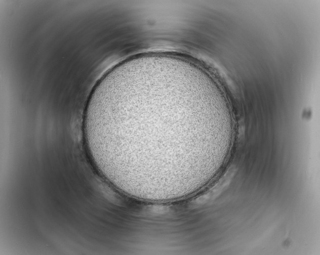 X0000103301409200809191843