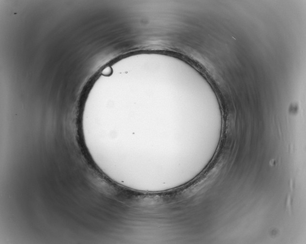 X0000103301410200809191843