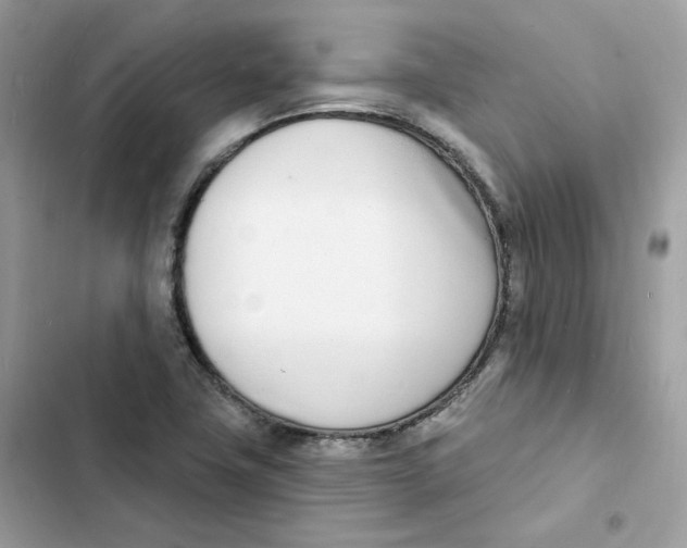 X0000103301411200809191843