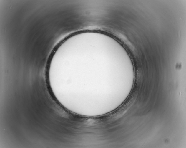 X0000103301412200809191843