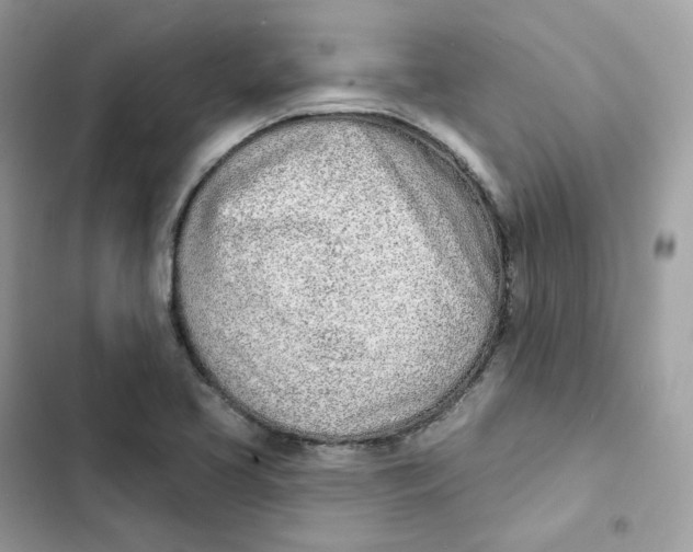 X0000103301413200809191843