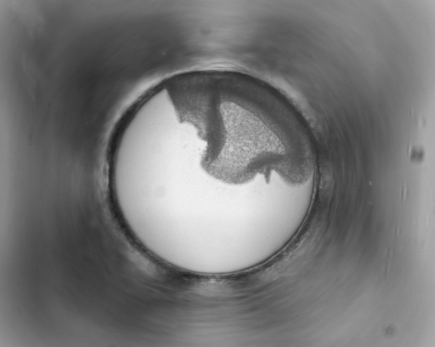 X0000103301414200809191843