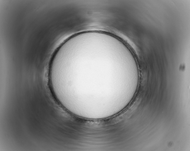 X0000103301415200809191843