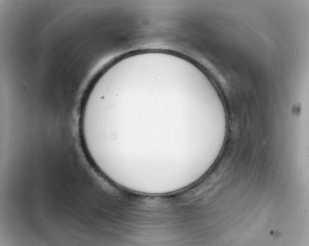 X0000103301416200809191843