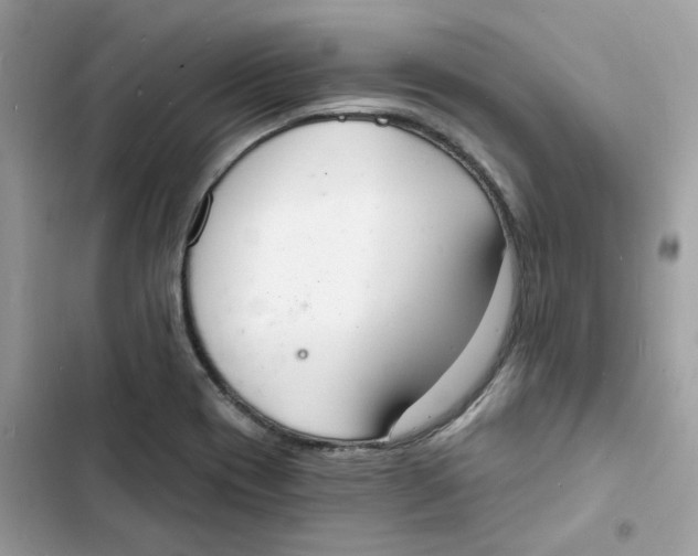 X0000103301417200809191843