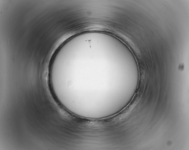 X0000103301418200809191843