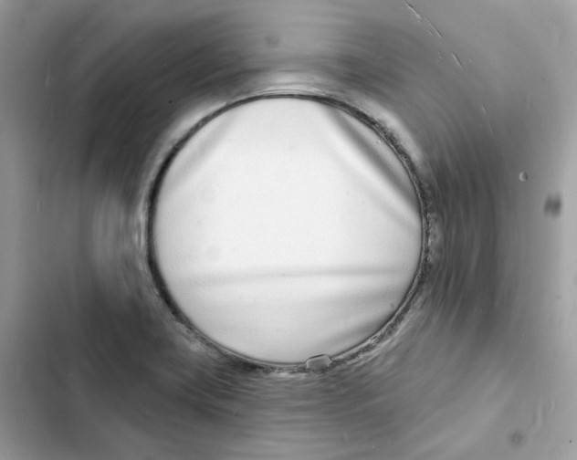 X0000103301419200809191843