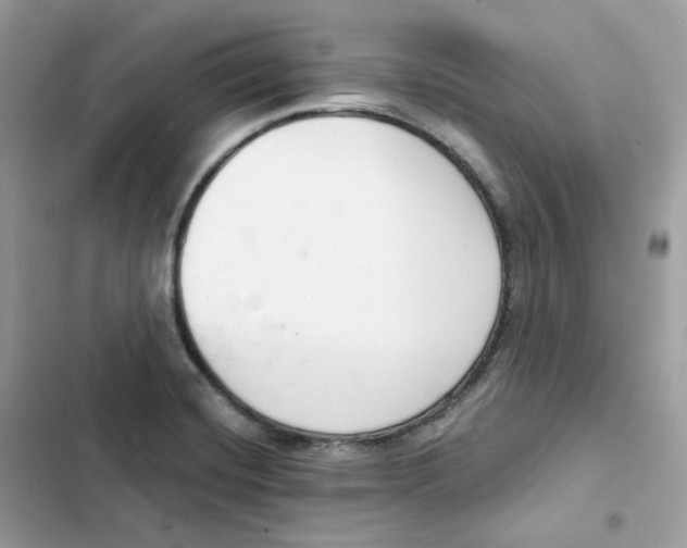 X0000103301420200809191843