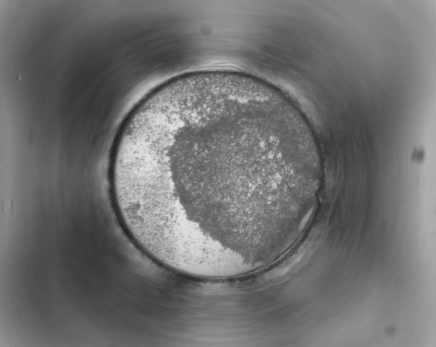 X0000103301422200809191843