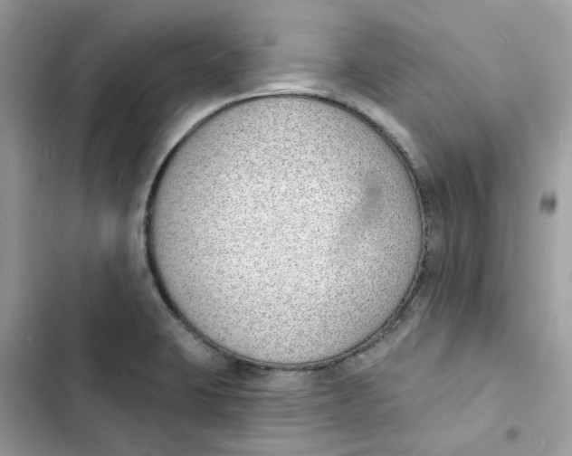 X0000103301423200809191843