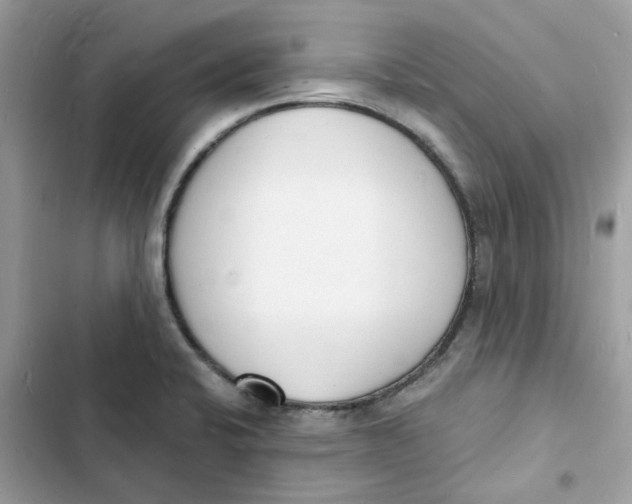 X0000103301424200809191843