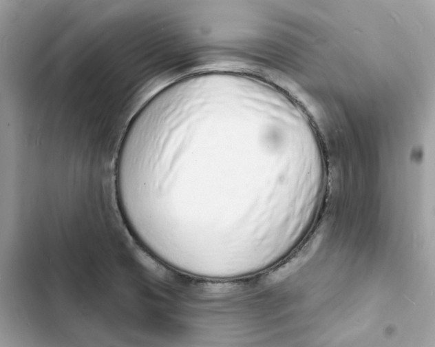 X0000103301425200809191843