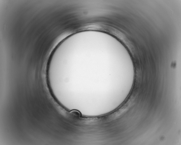 X0000103301426200809191843