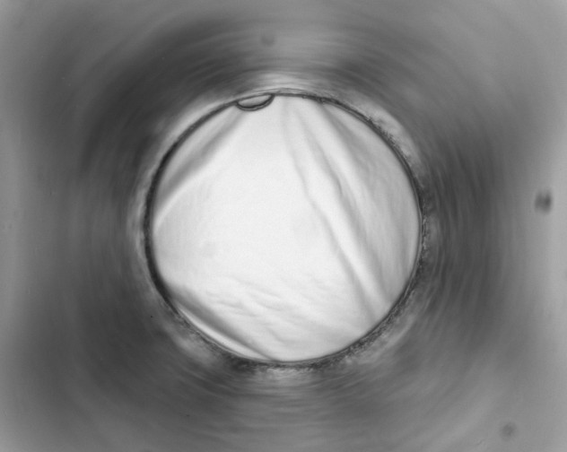 X0000103301427200809191843