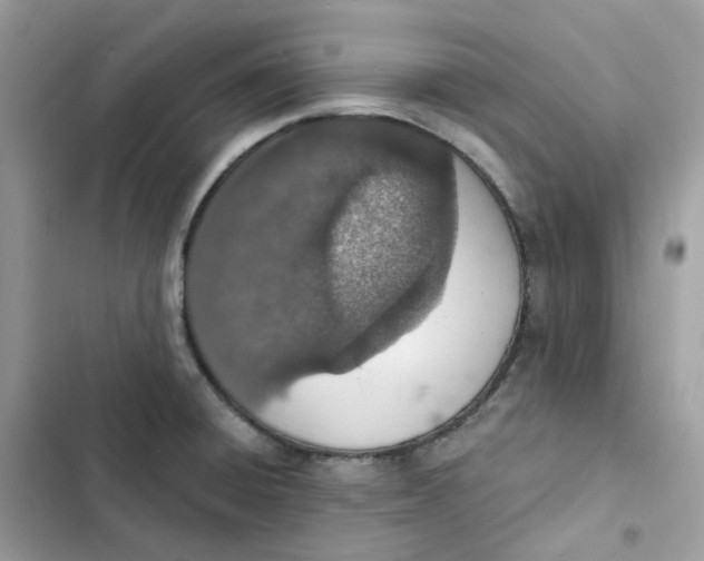 X0000103301428200809191843