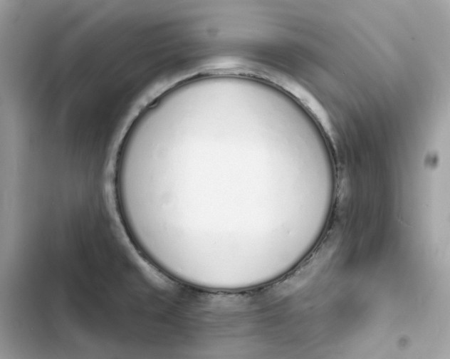 X0000103301429200809191843