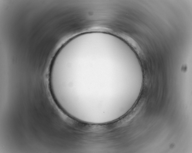 X0000103301430200809191843