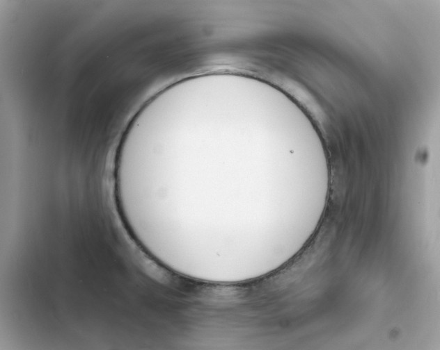 X0000103301431200809191843