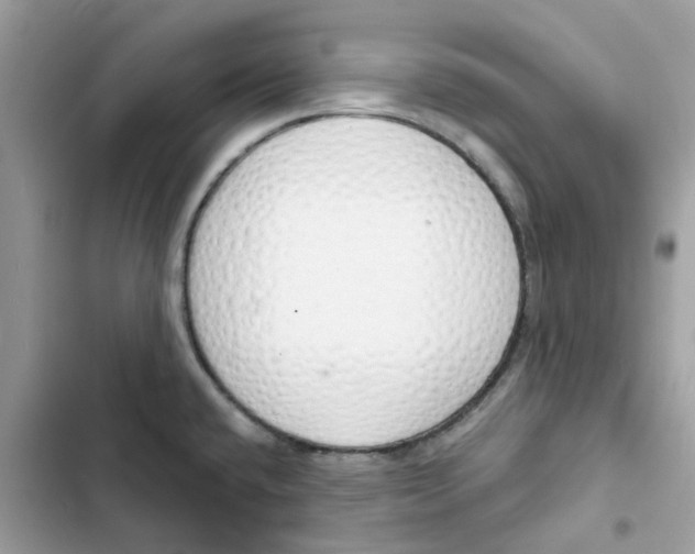 X0000103301432200809191843